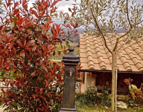 Il Podere Di Massi Barberino di Mugello Extérieur photo