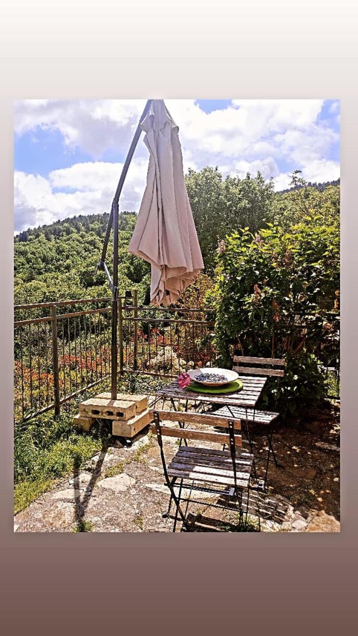 Il Podere Di Massi Barberino di Mugello Extérieur photo