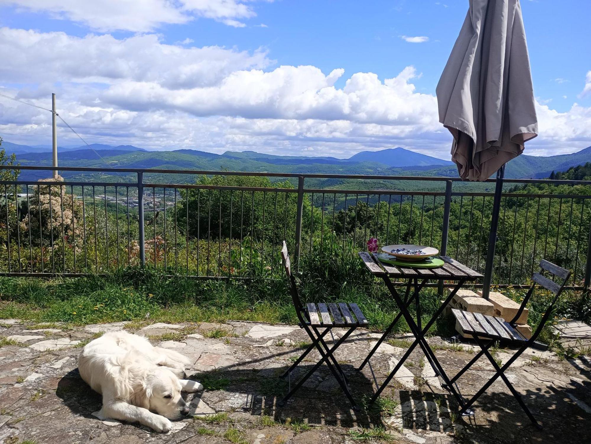 Il Podere Di Massi Barberino di Mugello Extérieur photo